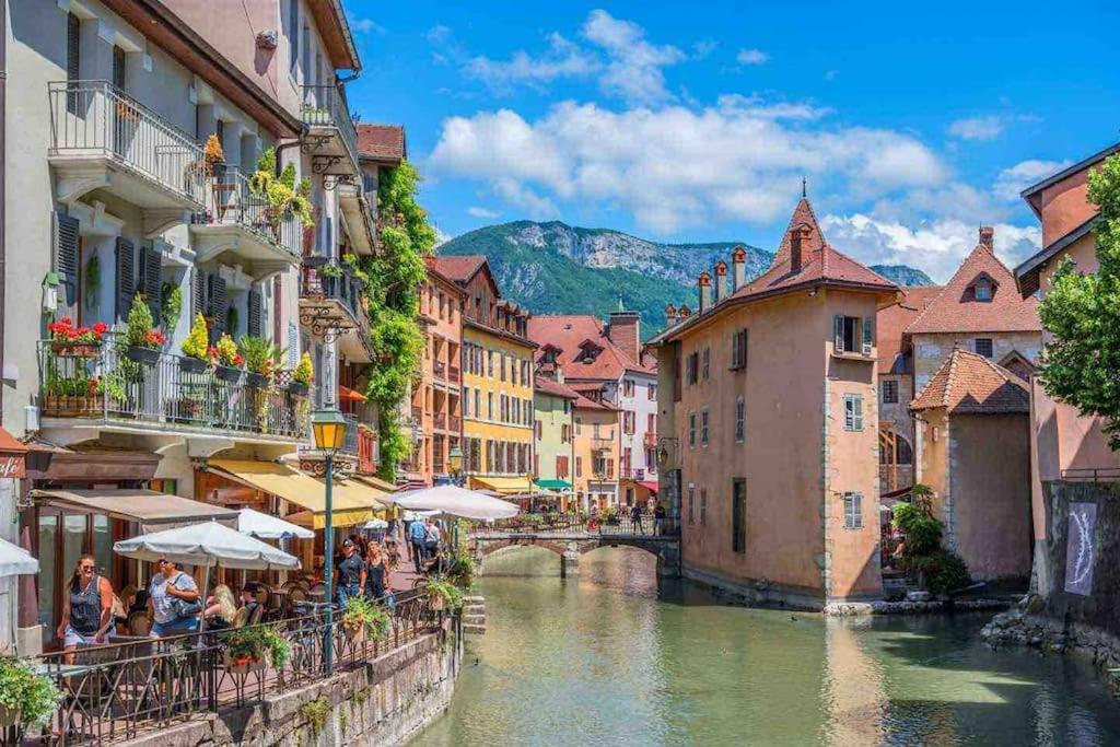 La Perle Du Thiou - Charmant T3 Au Centre D'Annecy Avec Parking Prive Dış mekan fotoğraf