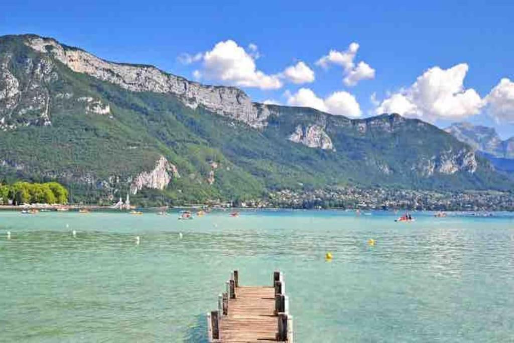 La Perle Du Thiou - Charmant T3 Au Centre D'Annecy Avec Parking Prive Dış mekan fotoğraf